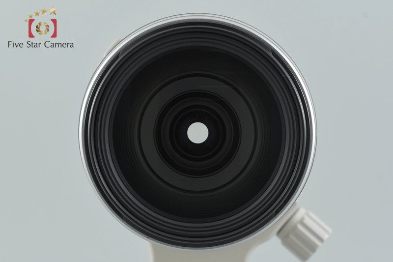 Canon EF 28-300mm f/3.5-5.6 L IS USM