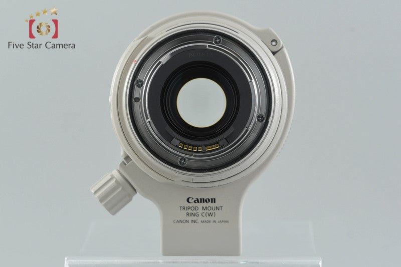 Canon EF 28-300mm f/3.5-5.6 L IS USM