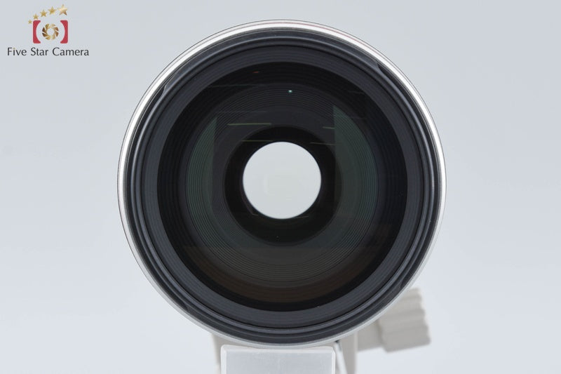 Canon EF 100-400mm f/4.5-5.6 L IS USM