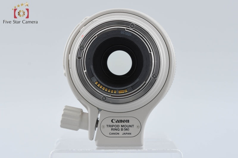 Canon EF 100-400mm f/4.5-5.6 L IS USM