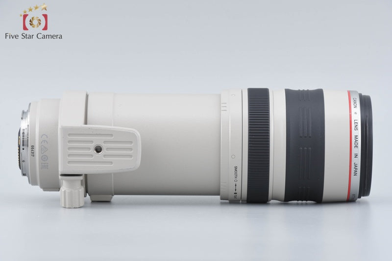 Canon EF 100-400mm f/4.5-5.6 L IS USM