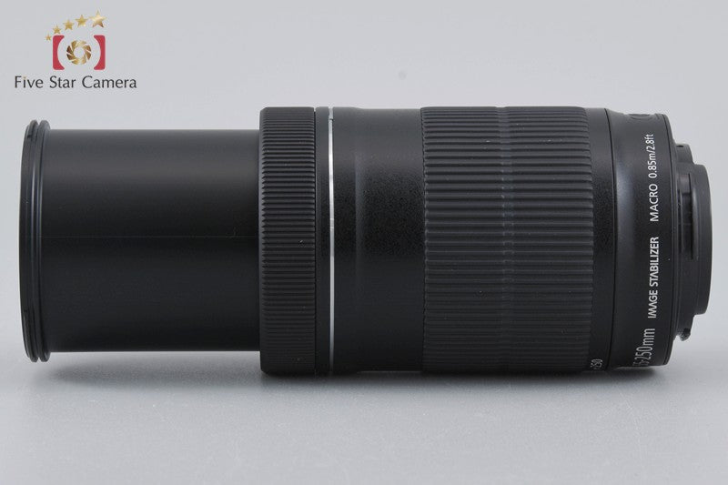 Canon EF-S 55-250mm f/4-5.6 IS STM