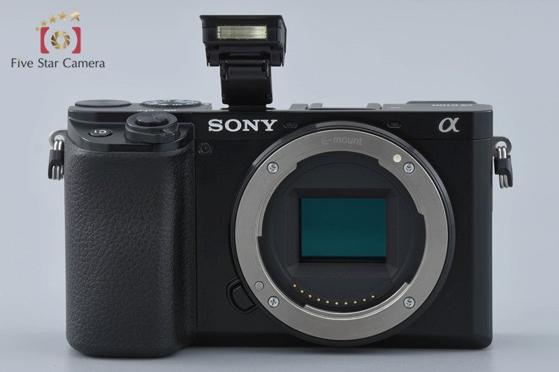 Sony Alpha α6100 ILCE-6100 Black 16-50 55-210 Lenses [Japanese Language Only]