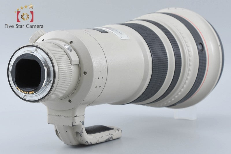 Canon EF 500mm f/4 L IS USM