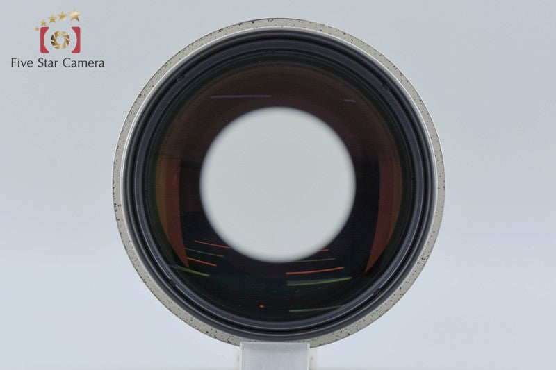 Canon EF 500mm f/4 L IS USM