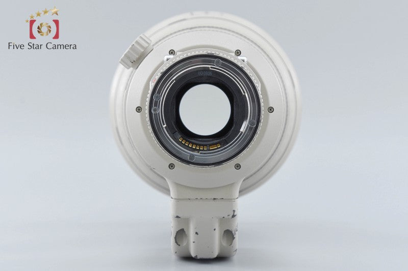 Canon EF 500mm f/4 L IS USM