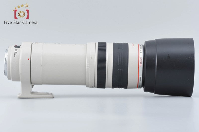 Canon EF 100-400mm f/4.5-5.6 L IS USM