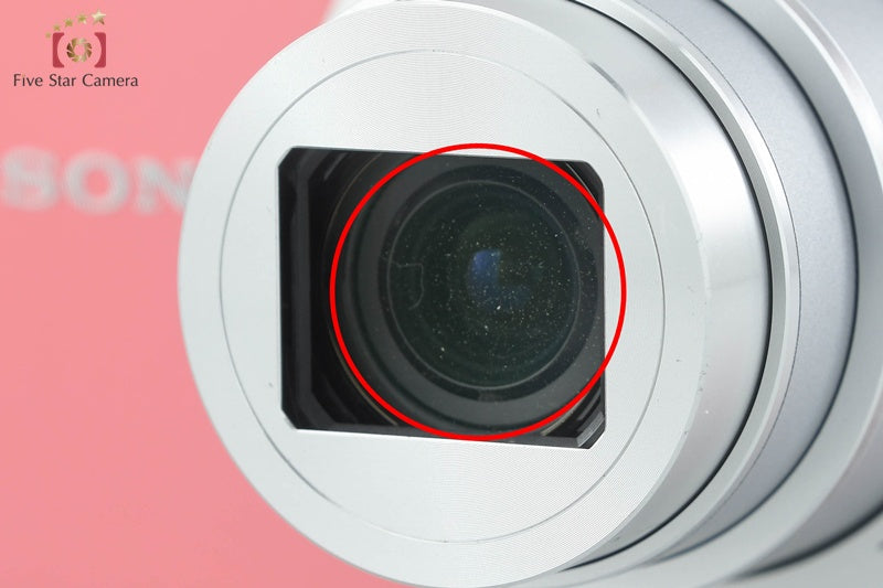 SONY Cyber-shot DSC-WX350 Pink 18.2 MP Digital Camera [Japanese Language Only]