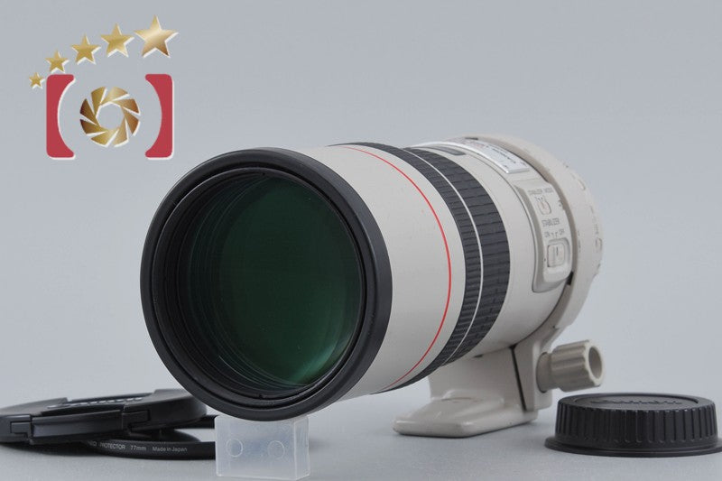 Canon EF 300mm f/4 L IS USM