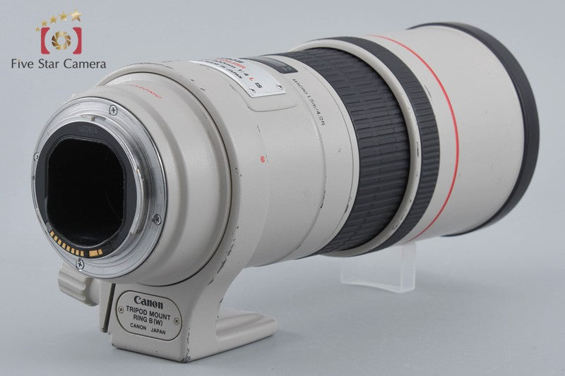 Canon EF 300mm f/4 L IS USM