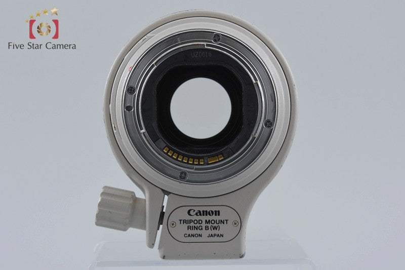 Canon EF 300mm f/4 L IS USM