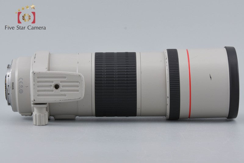 Canon EF 300mm f/4 L IS USM
