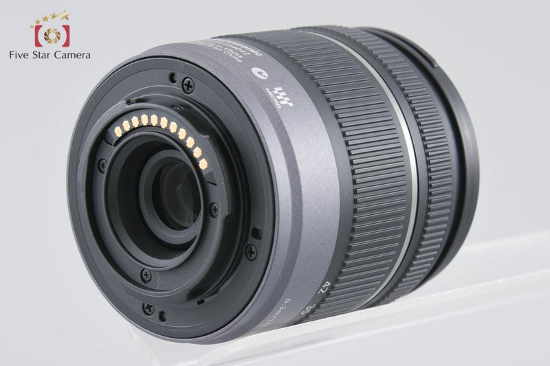 "Count 433" Panasonic LUMIX DMC-GF3 12.1 MP 14-42 Lens [Japanese Language Only]