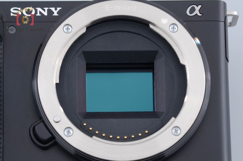 Sony α VLOGCAM ZV-E10 Black 16-50 Lens + GP-VPT2BT [Japanese Language Only]