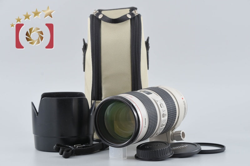 Canon EF 70-200mm f/2.8 L IS USM