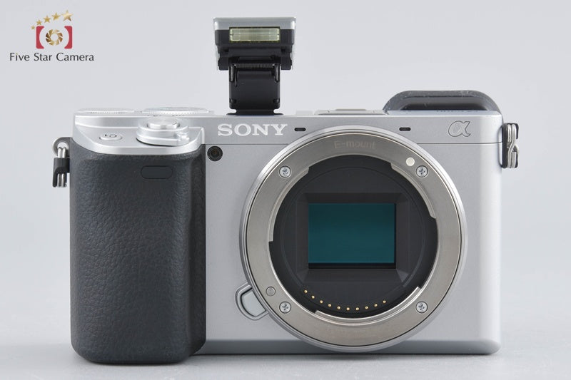 Sony α6400 ILCE-6400Y Silver 24.2MP 16-50 55-210 Lenses [Japanese Language Only]