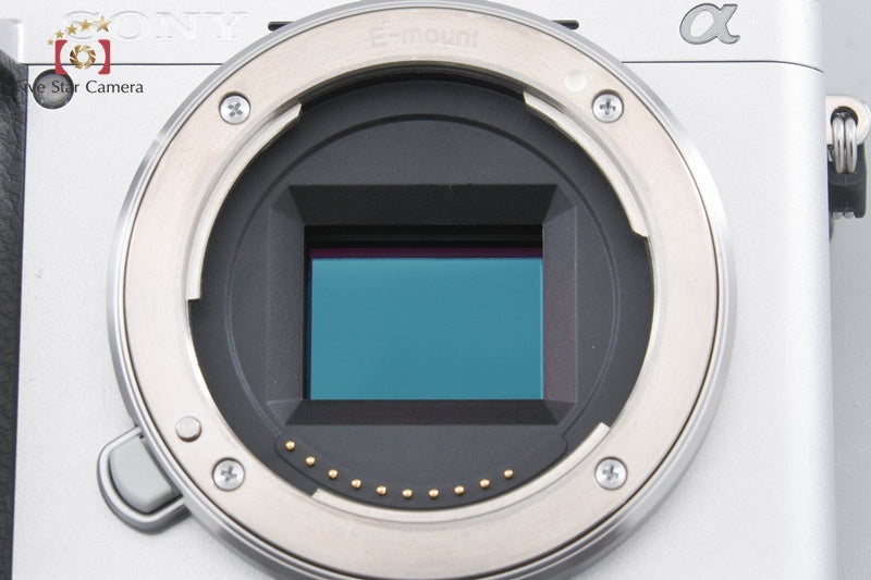 Sony α6400 ILCE-6400Y Silver 24.2MP 16-50 55-210 Lenses [Japanese Language Only]