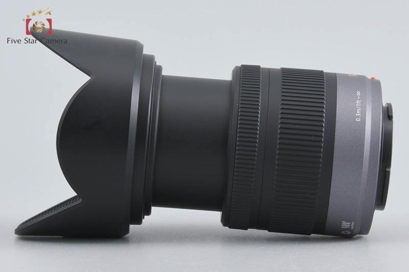 Panasonic LUMIX G VARIO 14-42mm f/3.5-5.6 ASPH. MEGA O.I.S. H-FS014042