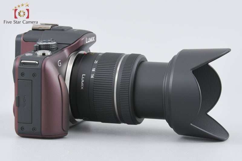 "Count 70" Panasonic DMC-G3 Sensual Brown 14-42 Lens [Japanese Language Only]