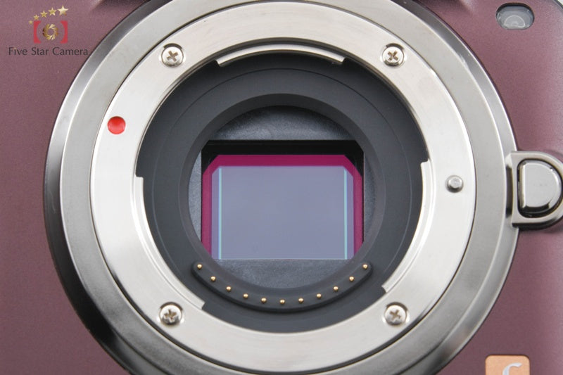 "Count 70" Panasonic DMC-G3 Sensual Brown 14-42 Lens [Japanese Language Only]