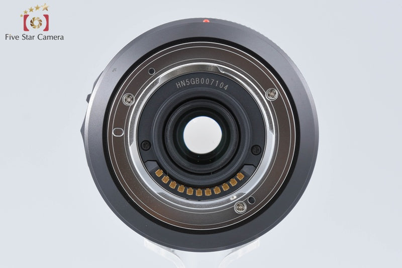 Panasonic LUMIX G VARIO 14-140mm f/3.5-5.6 ASPH. POWER O.I.S. Black H-FS14140