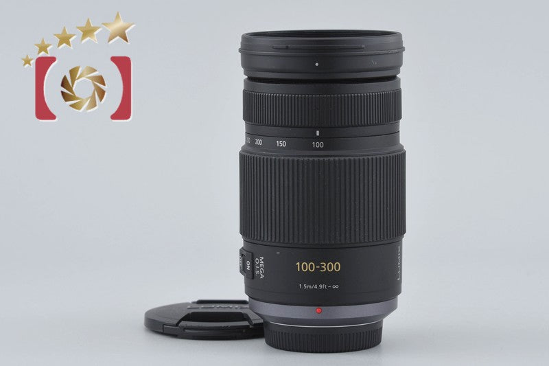 Panasonic LUMIX G VARIO 100-300mm f/4-5.6 MEGA O.I.S. H-FS100300