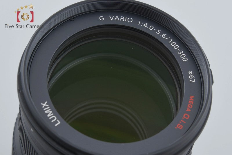 Panasonic LUMIX G VARIO 100-300mm f/4-5.6 MEGA O.I.S. H-FS100300