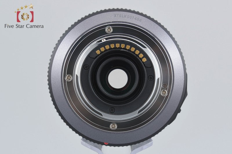 Panasonic LUMIX G VARIO 100-300mm f/4-5.6 MEGA O.I.S. H-FS100300