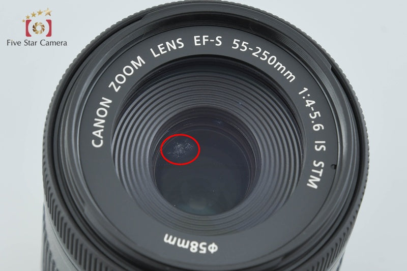 Canon EF-S 55-250mm f/4-5.6 IS STM