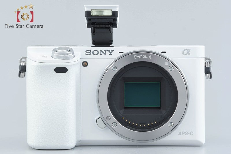 Sony Alpha α6000 ILCE-6000 White 16-50 55-210 Lenses [Japanese Language Only]