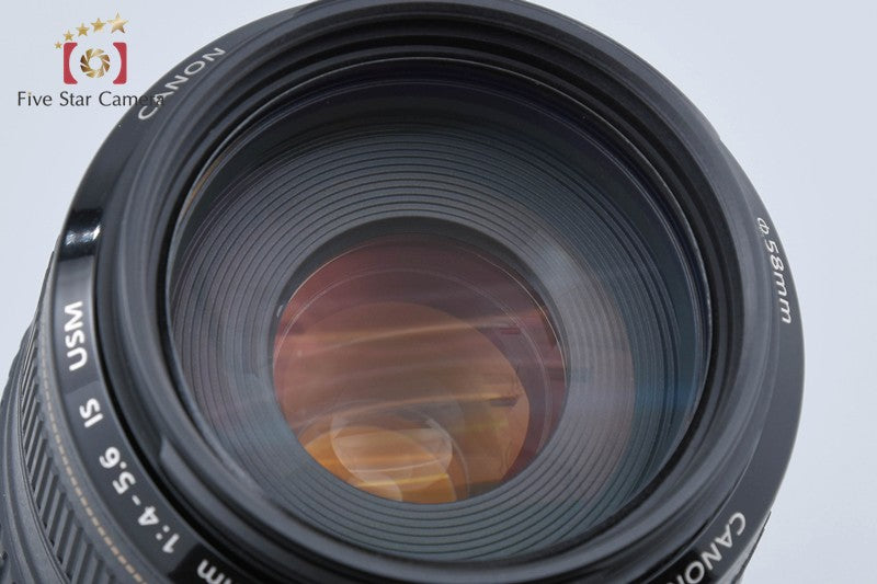 Canon EF 70-300mm f/4-5.6 IS USM