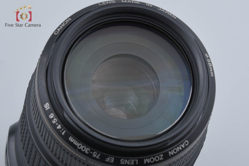 Canon EF 75-300mm f/4-5.6 IS USM