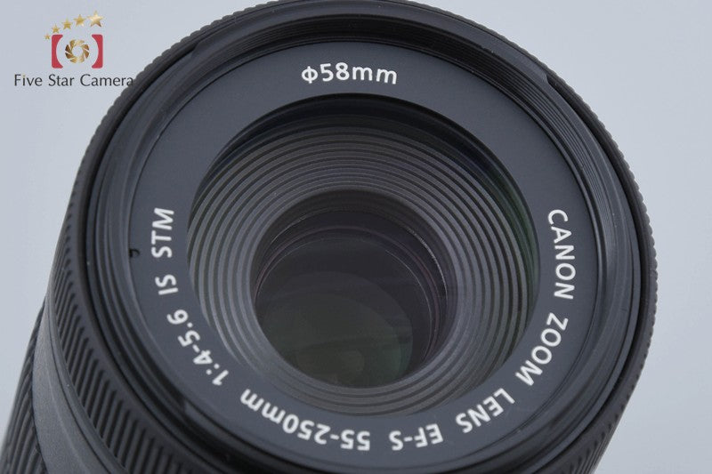Canon EF-S 55-250mm f/4-5.6 IS STM