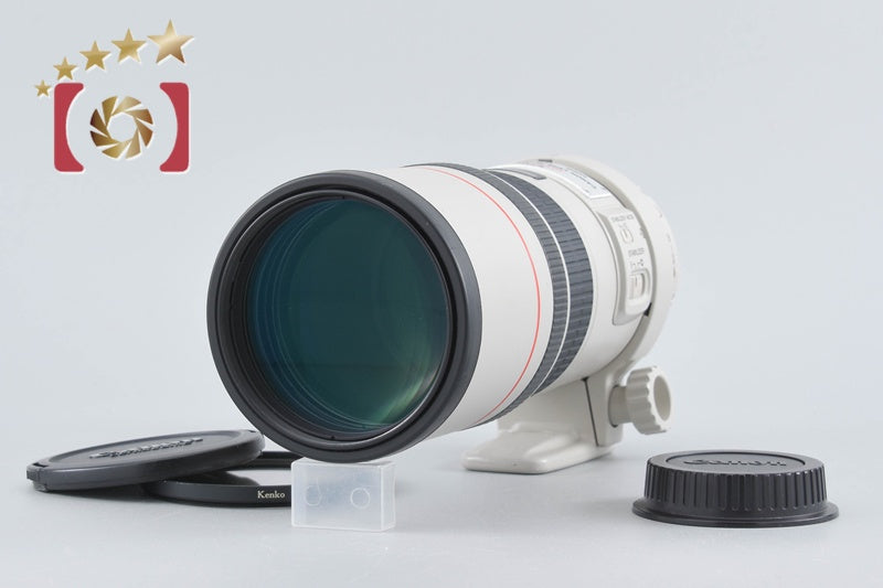 Canon EF 300mm f/4 L IS USM