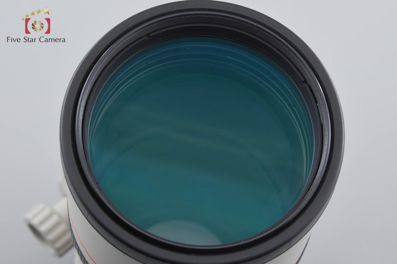 Canon EF 300mm f/4 L IS USM