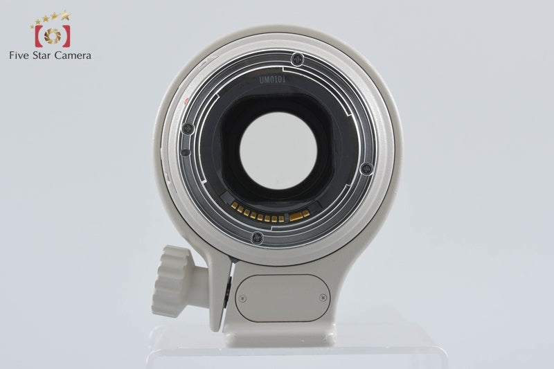 Canon EF 300mm f/4 L IS USM