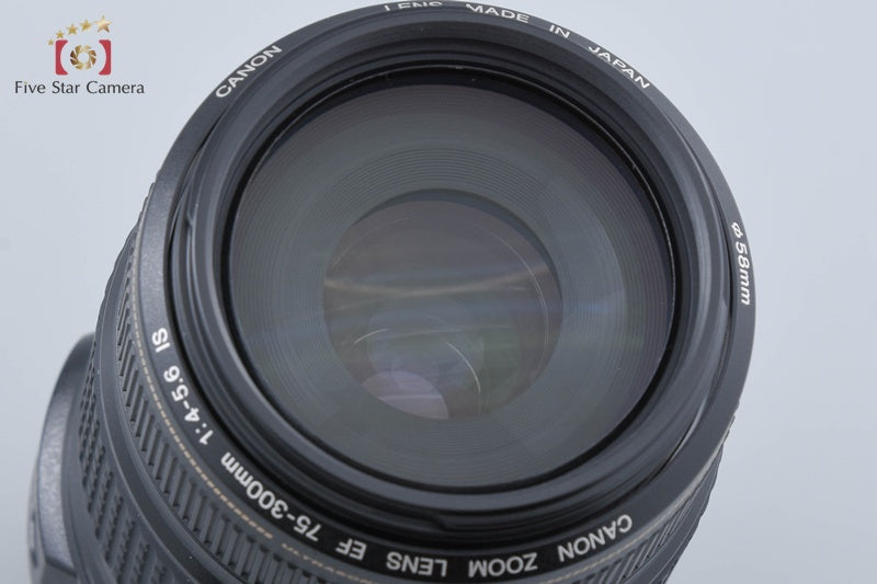 Canon EF 75-300mm f/4-5.6 IS USM