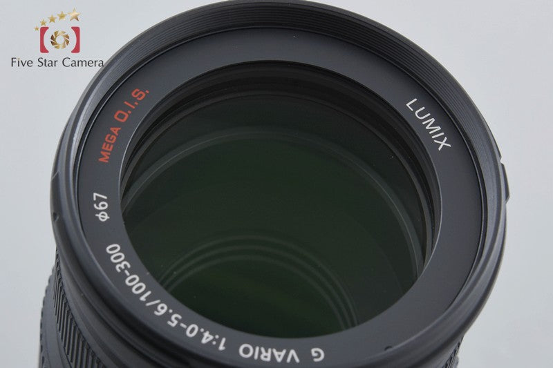 Panasonic LUMIX G VARIO 100-300mm f/4-5.6 MEGA O.I.S. H-FS100300