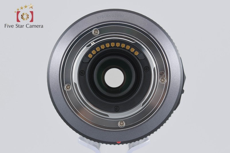 Panasonic LUMIX G VARIO 100-300mm f/4-5.6 MEGA O.I.S. H-FS100300