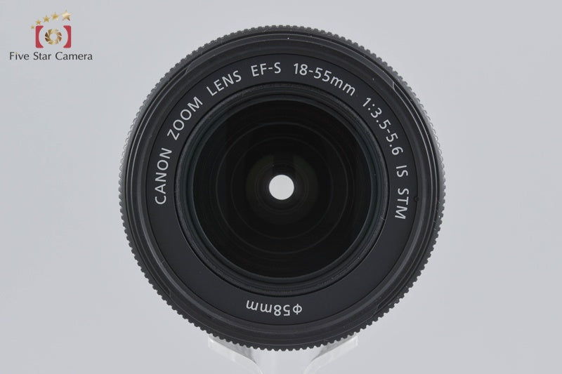 Canon EF-S 18-55mm f/3.5-5.6 IS STM