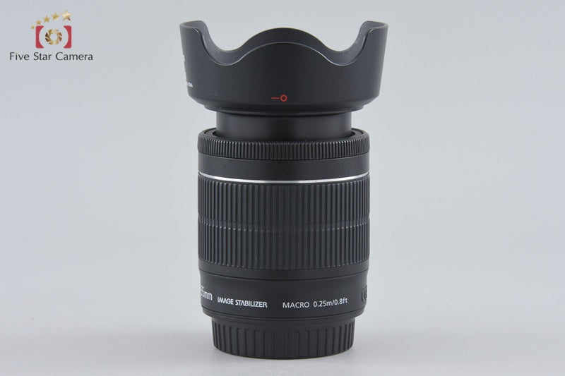 Canon EF-S 18-55mm f/3.5-5.6 IS STM