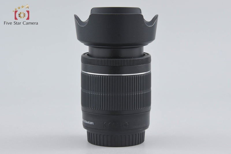 Canon EF-S 18-55mm f/3.5-5.6 IS STM