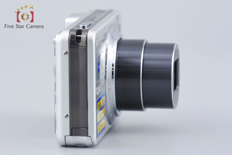 Sony Cyber-Shot DSC-W170 Silver 10.1 MP Digital Camera [Japanese Language Only]