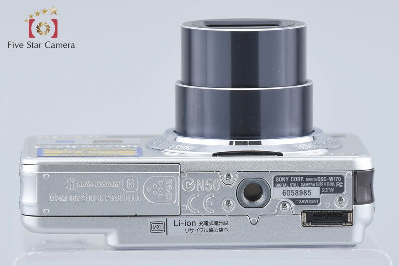 Sony Cyber-Shot DSC-W170 Silver 10.1 MP Digital Camera [Japanese Language Only]