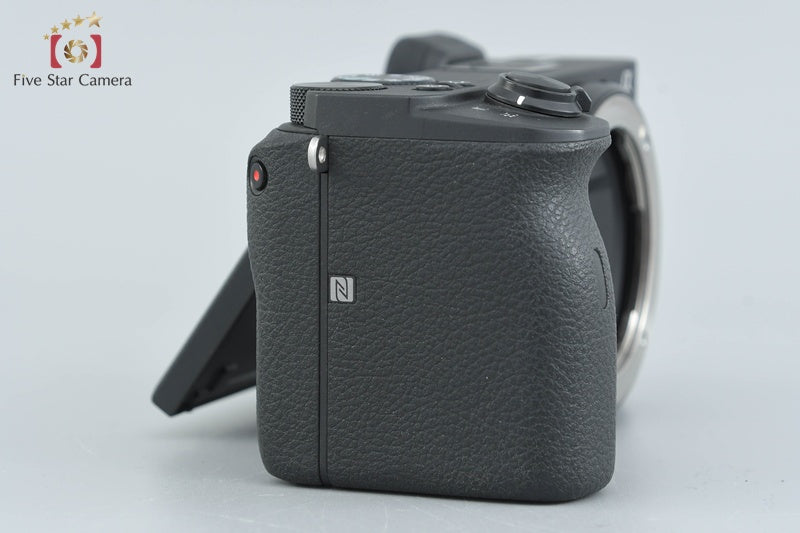 Sony Alpha α6600 ILCE-6600 24.2 MP Digital Camera Body [Japanese Language Only]