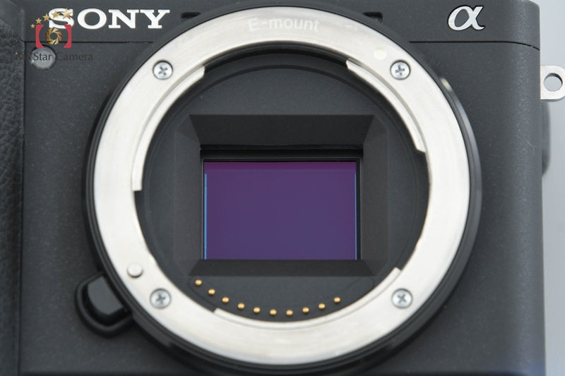 Sony Alpha α6600 ILCE-6600 24.2 MP Digital Camera Body [Japanese Language Only]
