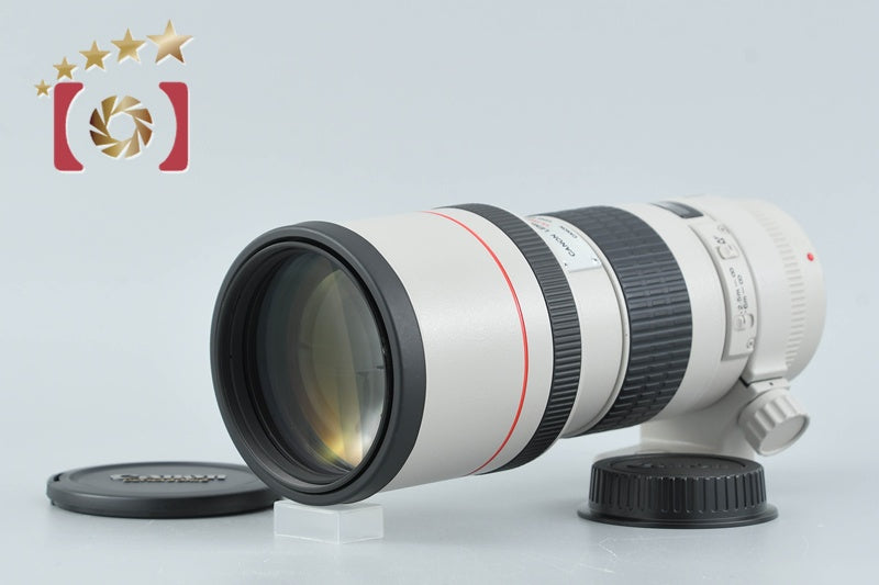 Canon EF 300mm f/4 L USM