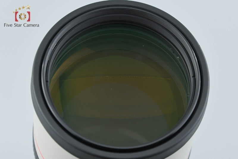 Canon EF 300mm f/4 L USM