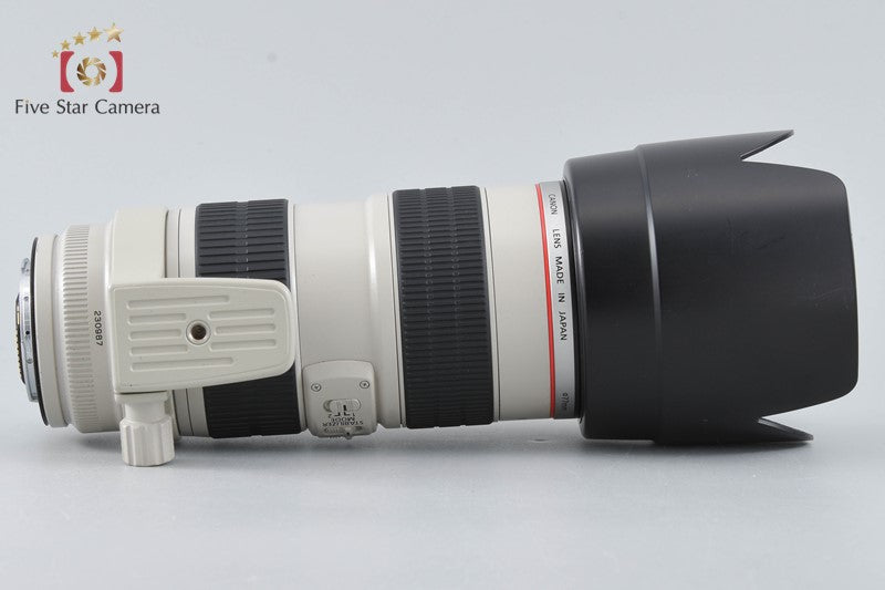Canon EF 70-200mm f/2.8 L IS USM