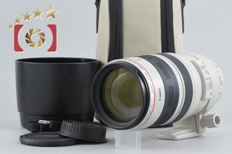Canon EF 100-400mm f/4.5-5.6 L IS USM
